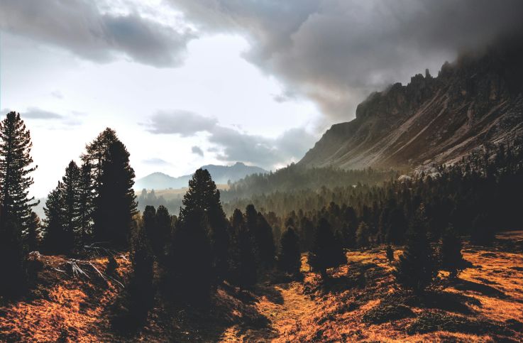 Was für  Photovoltaikanlagen gibt es?